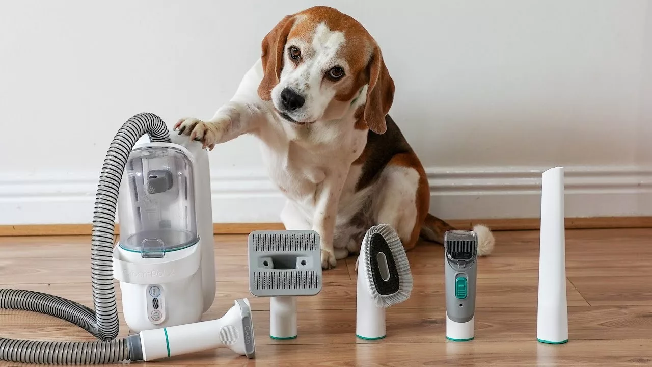 Best Household Vacuum Cleaners for Pets